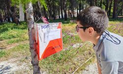 Manisa’da Siyer-i Nebi Oryantiring Yarışması düzenlendi