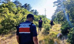 Çanakkale’de orman yangınlarına karşı jandarma ekipleri sahada