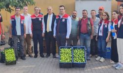 Aydın’ın dünya markası inciri için sahada yoğun mesai