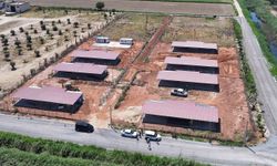 Efeler Belediyesi’nden sokak hayvanları için yeni yaşam alanı