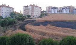 Bandırma’da buğday tarlası yangını korkuttu
