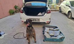 Balıkesir polisinden ’Narkorekor’