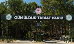 Gümüldür Tabiat Parkı 3 yıl aradan sonra kapılarını yeniden açtı