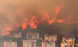 İzmir’de makilik alandaki yangın kontrol altında