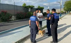 Van'da kuduz vakası sonrası 7 mahallede karantina