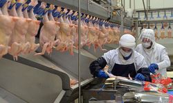 Beyaz et soruşturmasında 13 şirkete kayyum atandı