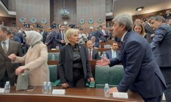 CHP'den ayrılan Nimet Özdemir'in yeni adresi belli oldu