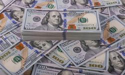 Dolar/TL'de tarihi zirve: 46 lira seviyesi aşıldı