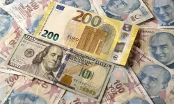 Dolar ve Euro yükselişini sürdürüyor