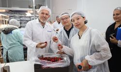 Türk kirazı Çin pazarına girmek için gün sayıyor