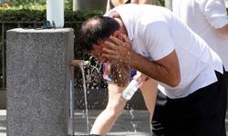Fransa'da sıcaklar nedeniyle can kaybı 1000'e ulaştı