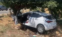 Sollama yaparken ağaca çarptı: 4 ağır yaralı