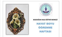 Bozdoğan Halk Eğitim Merkezi'nden yıl sonu sergisi