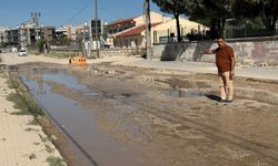 AK Partili Güzel'den Özgürlük Caddesi tepkisi