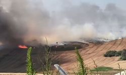 Büyükçekmece’de buğday tarlasında yangın çıktı
