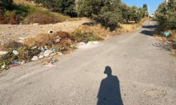 Yol kenarları çöple doldu, mahalleli isyan etti
