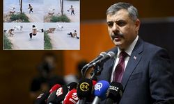 Bakan Çiftçi sokak köpekleri için tarih verdi