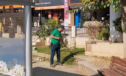 Efeler Belediyesinden kesintisiz çevre mesaisi