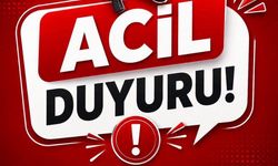 Yangın Bozdoğan sınırına dayandı