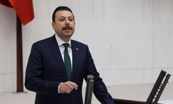 Kaya'dan İnciraltı Kent Ormanı için eleştiri
