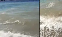 Bodrum’da deniz kirliliğine soruşturma başlatıldı!