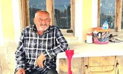 İzmir’de ayı saldırısına uğrayan yaşlı adam hayatını kaybetti