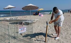 Kuşadası’nda caretta carettalardan umutlandıran yuva