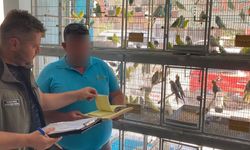 Çanakkale’de petshop denetimi