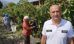 Manisa’dan dünyaya üzüm ihracatı başladı