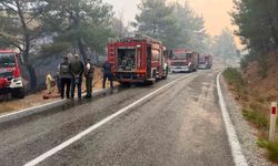 Balıkesir’deki yangın sebebiyle Ayvalık Bergama yolu trafiğe kapatıldı