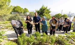 Mahalle bostanlarında üretim ve dayanışma büyüyor