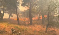 4 ilde yangınlar kontrol altına alındı, Aydın'da mücadele sürüyor