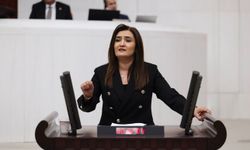 Sevda Erdan Kılıç’tan Akın Payaz için iki önerge