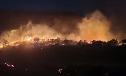 Dikili'deki makilik alanda çıkan yangın kontrol altına alındı: Trafo iddiası araştırılıyor