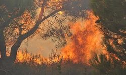 Kaş'ta orman yangınına havadan ve karadan müdahale