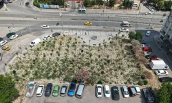 Kemer’de eski benzinlik mikro ormana dönüştü