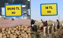 Patates tarlada 18, markette 60 lirayı geçti