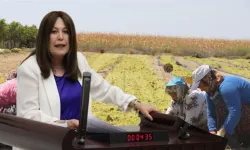Şenol Sunat: Manisalı üzüm üreticisinin hakkı en az 180 lira