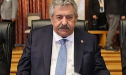 Yıldız'dan 'parti kapatma' çıkışı: 'Rüşvet ve yolsuzluklar…