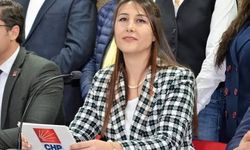 CHP'li Alçay: Bölünmek iktidarın ekmeğine yağ sürmek olur