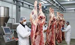 Kesimhanelere kamera zorunluluğu geliyor