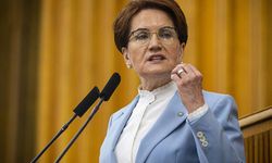 Meral Akşener Vakfı resmen kuruldu: Resmi Gazete'de yayımlandı