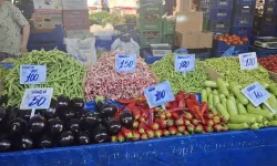 AK Partili Ömür Şanlı'dan ekonomi çıkışı: 'Yeni bir ekonomik vizyona ihtiyaç var'