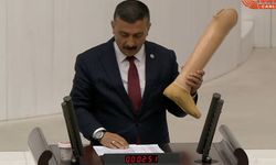 TBMM 30 Temmuz'a kadar çalışmalarını sürdürecek