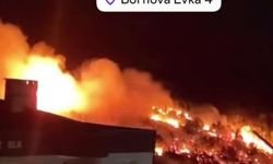 Bornova Eğridere'de orman yangınına havadan ve karadan müdahale