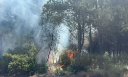 İzmir’deki orman yangınına ilişkin 1 kişi tutuklandı