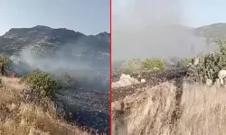 Diyarbakır’da örtü yangını geniş alana yayıldı