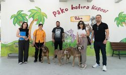 “Patili Dostlar İş Başında”