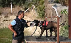 ENKAZLARDA CANA UMUT! 11 yılda 4 arama köpeği yetiştirdi