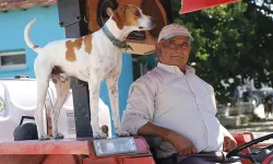 İzmir’de Benekli’nin sadakati duygulandırdı
